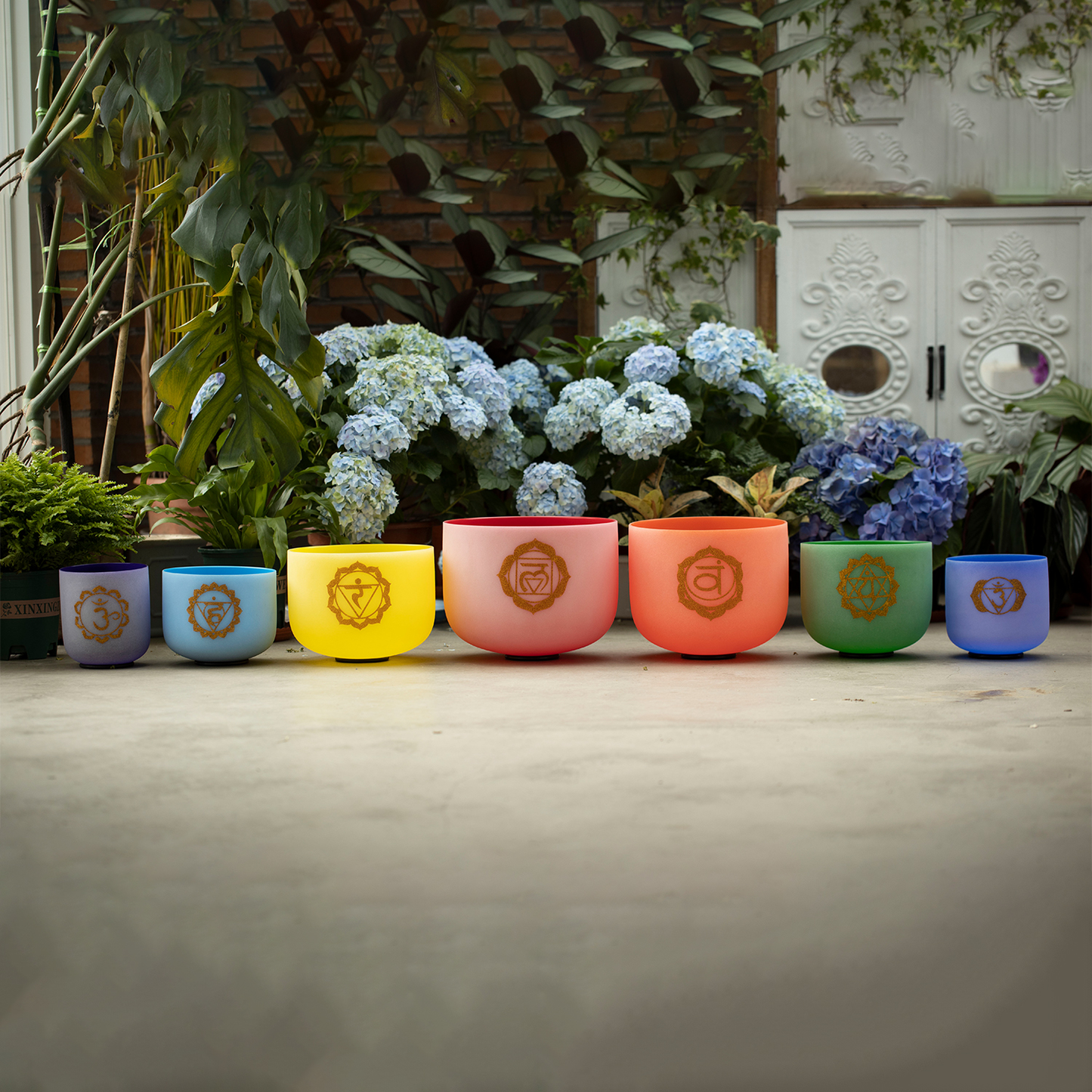 Perfect Pitch Singing Bowls in Colors With Symbols