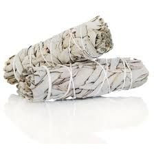 California White Sage 8-9"