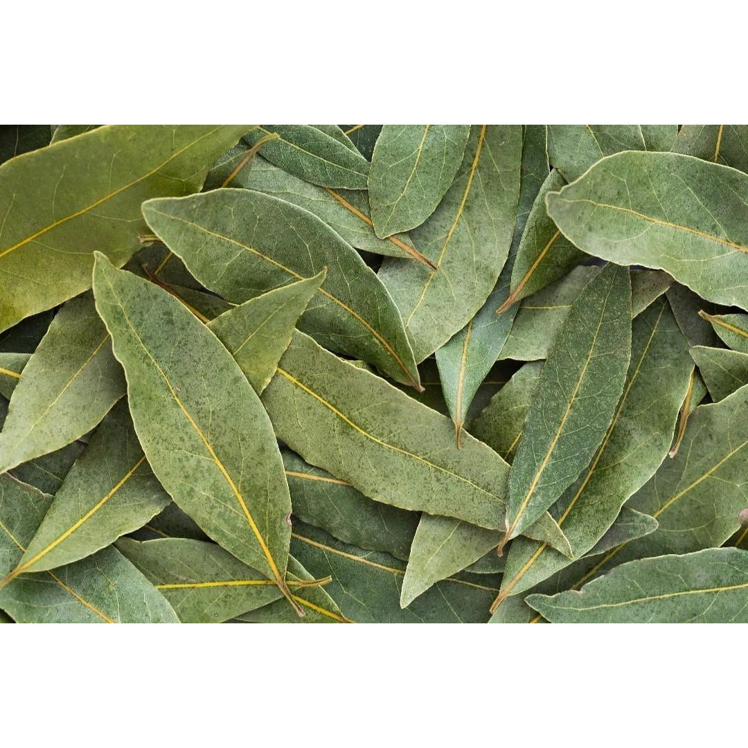 Bay Leaf