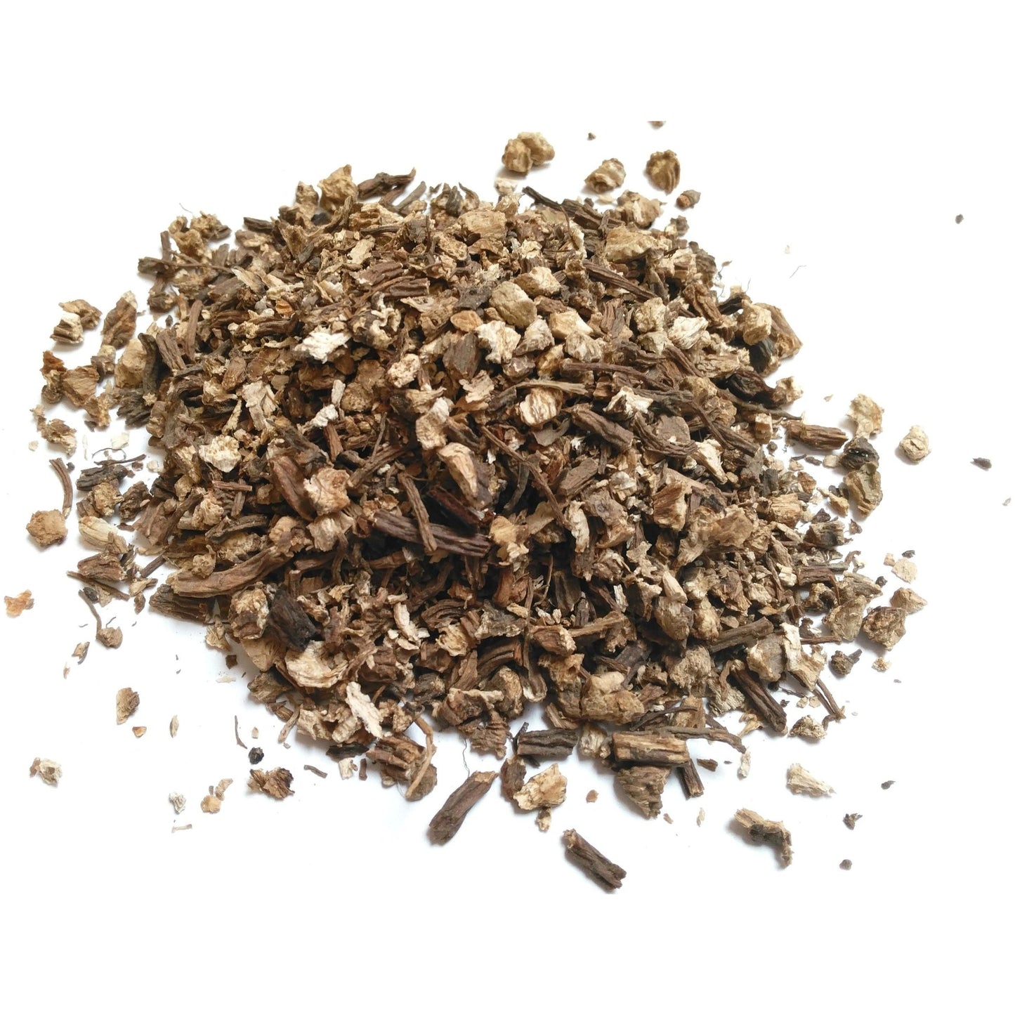 Angelica