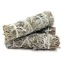Blue Sage 4"