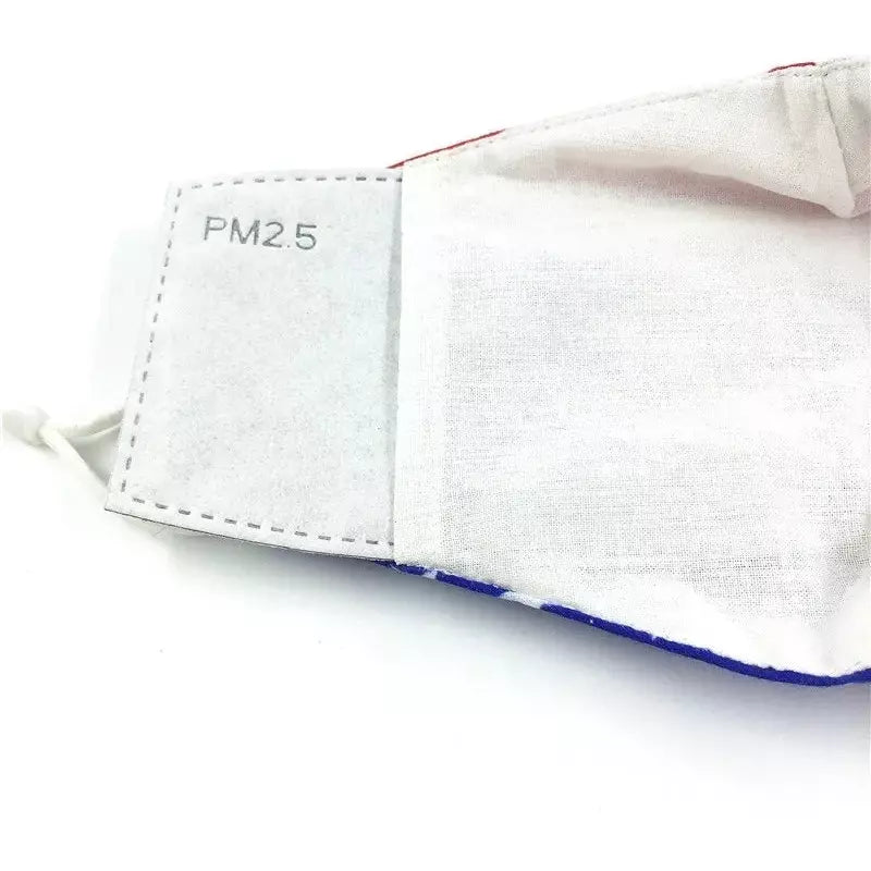 Washable American Eagle Fashion Face Mask With PM2.5 Filter