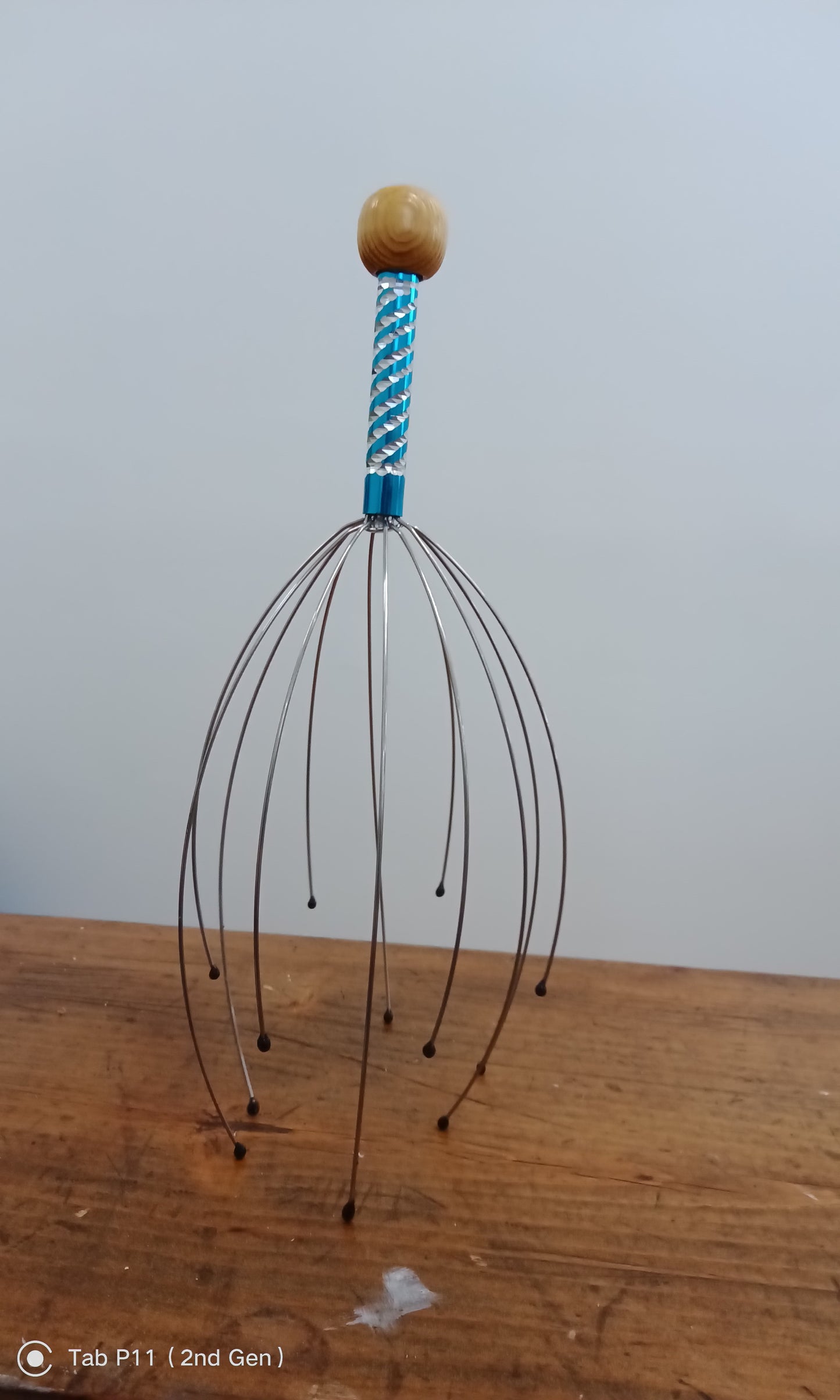 Head and Scalp Massager/Scratcher