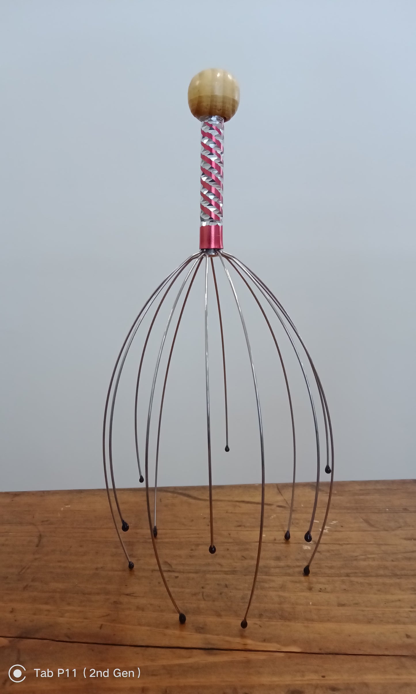 Head and Scalp Massager/Scratcher