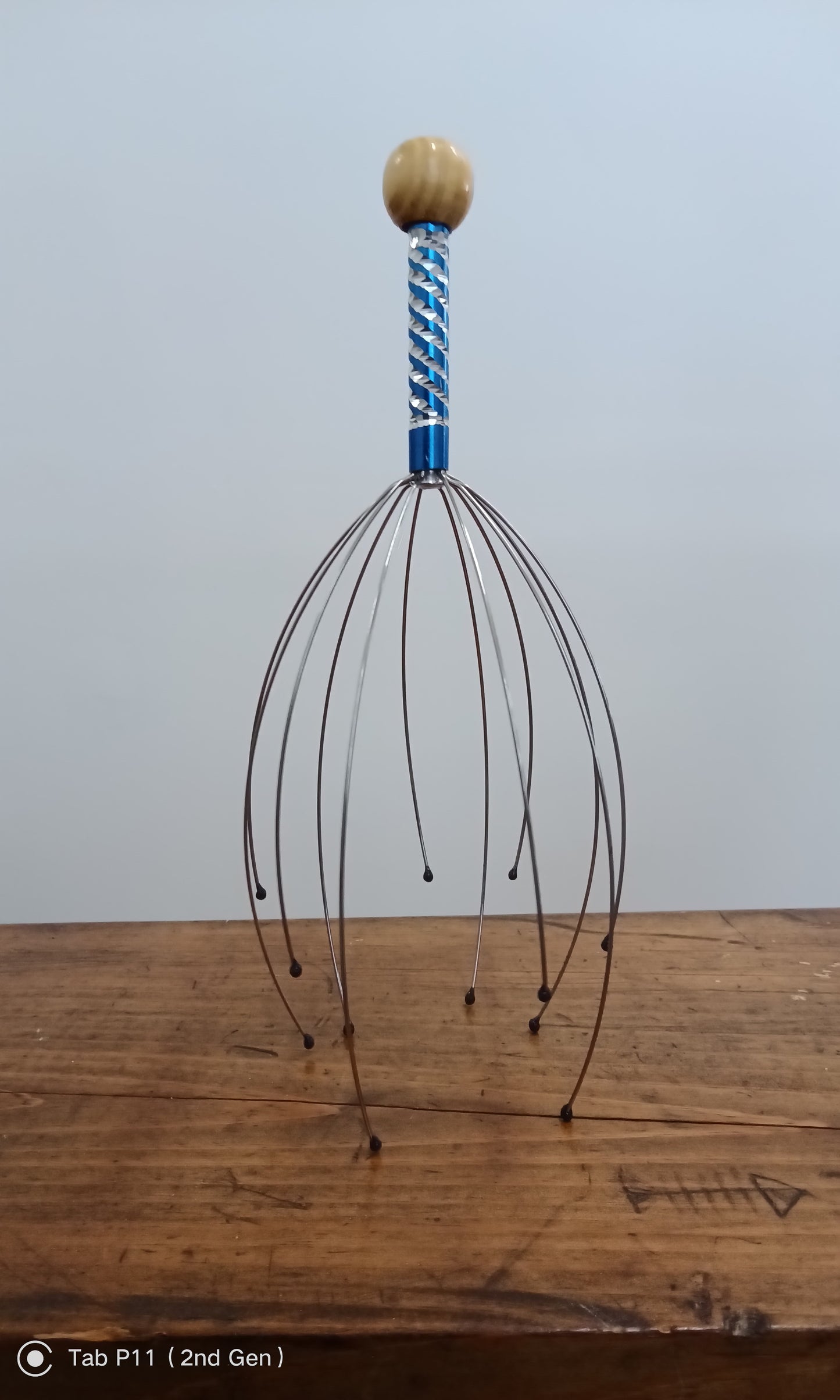 Head and Scalp Massager/Scratcher