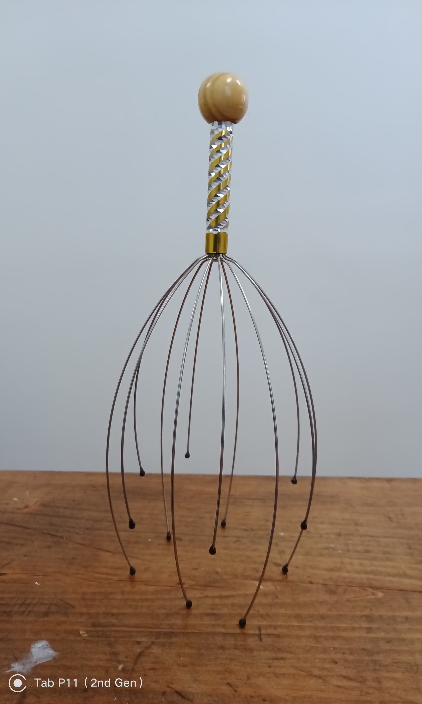 Head and Scalp Massager/Scratcher