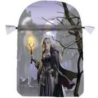 Witches Moon Satin Tarot Bag