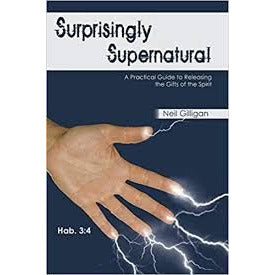 Surprisingly Supernatural by Neil Gilligan